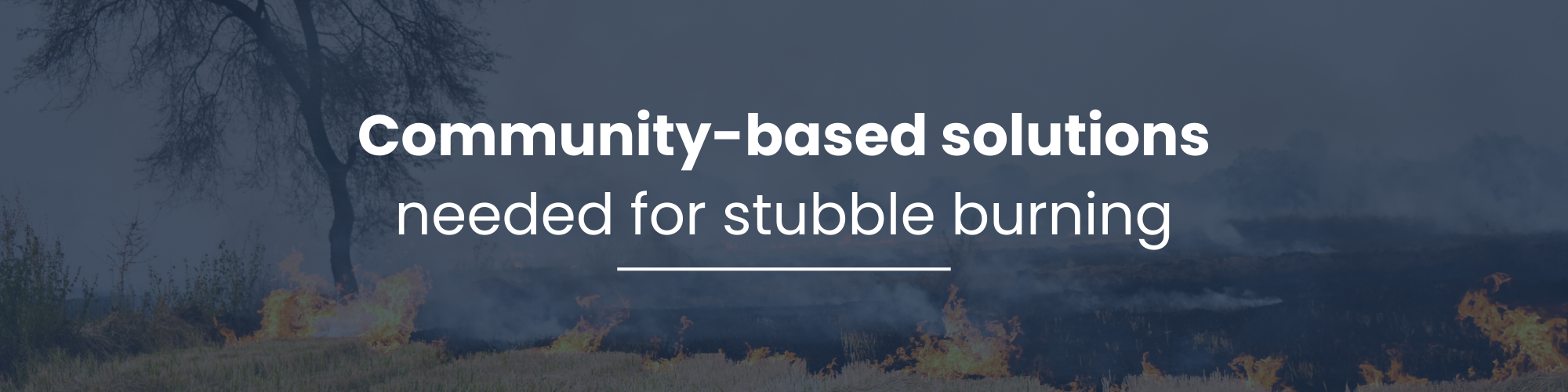 Community-based solutions needed for stubble burning